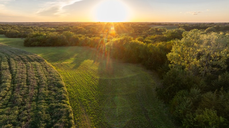 Ringgold County, IA 387+/- primary image